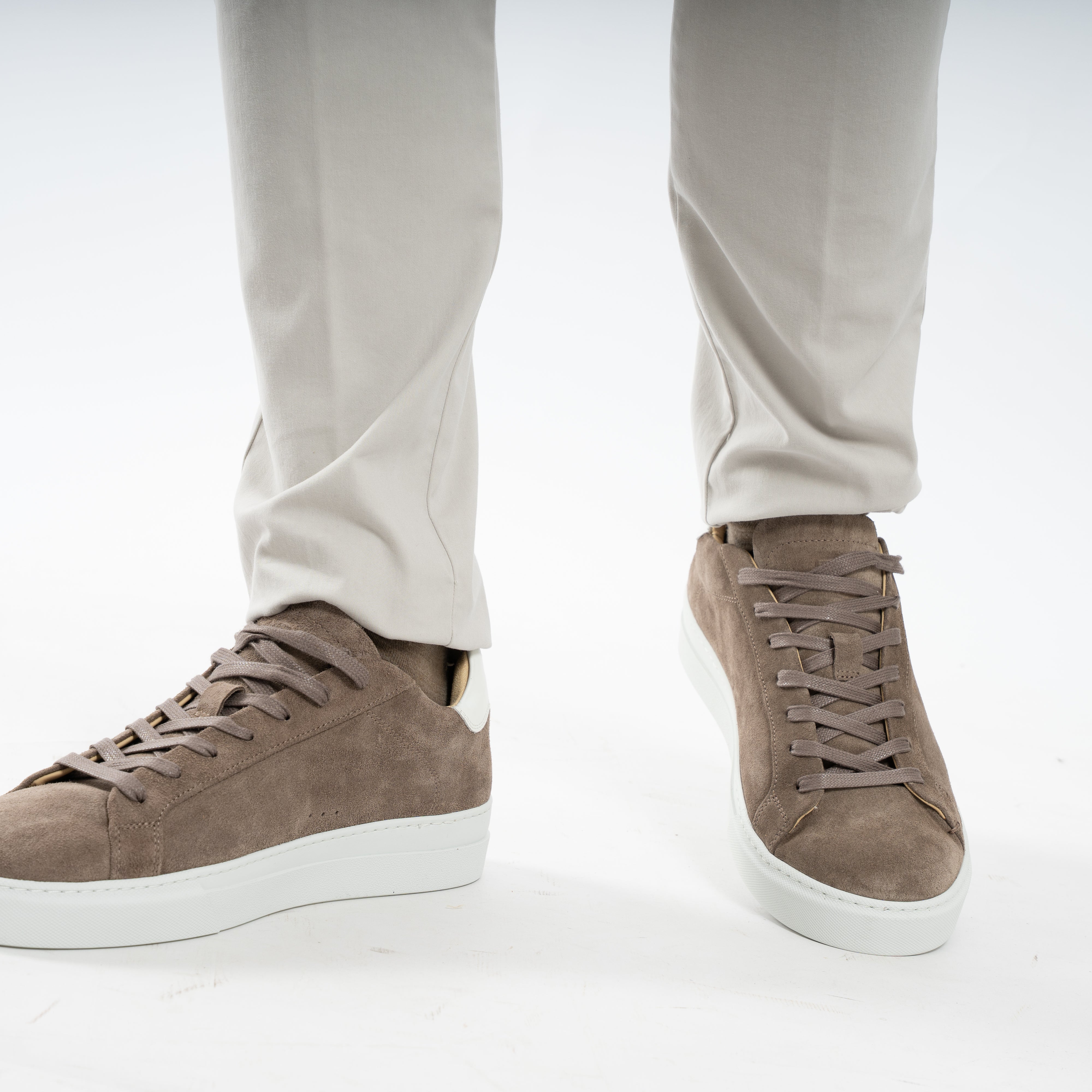 Berwich Chino Grijs | Morello