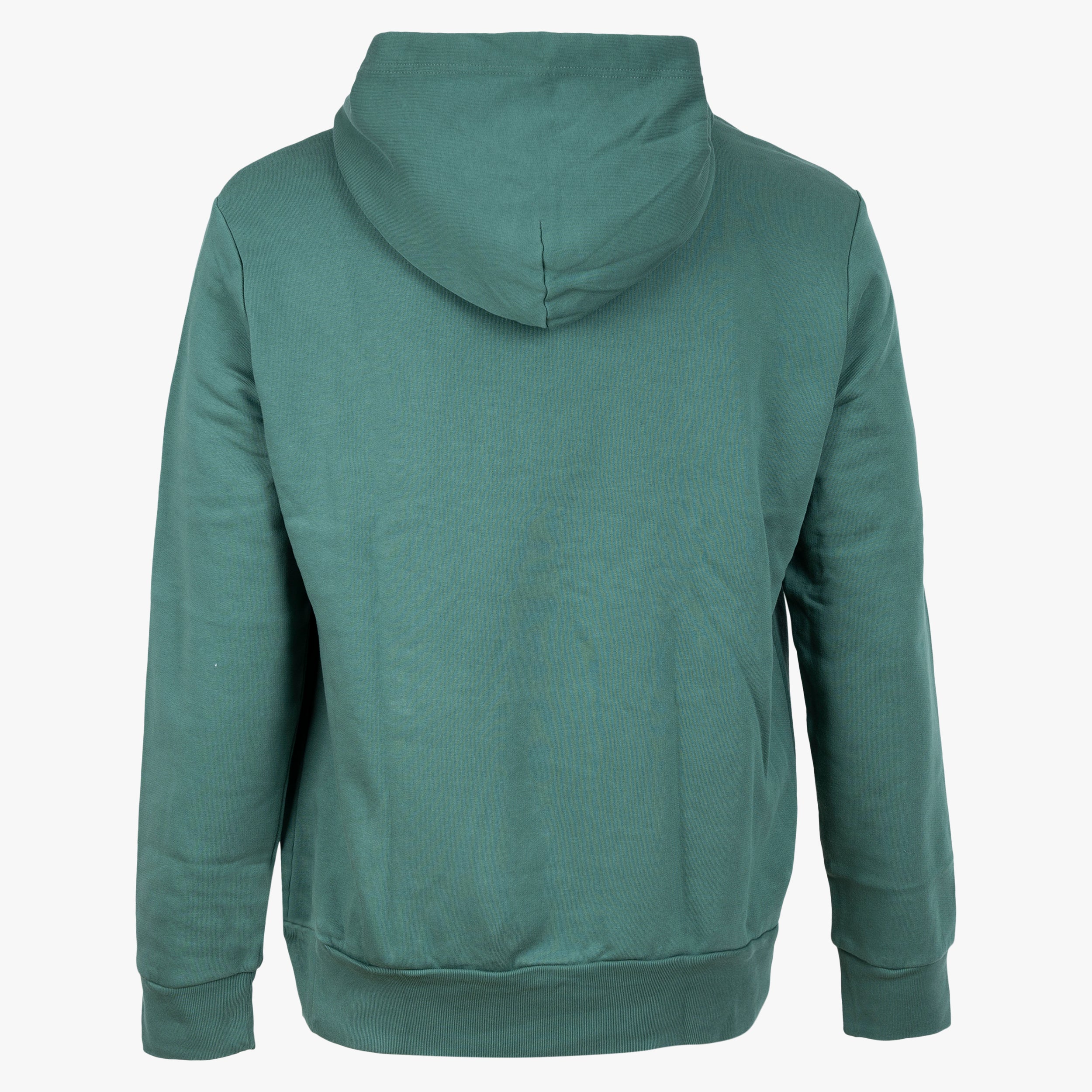 Ralph Lauren Hoodie Groen | Big Logo