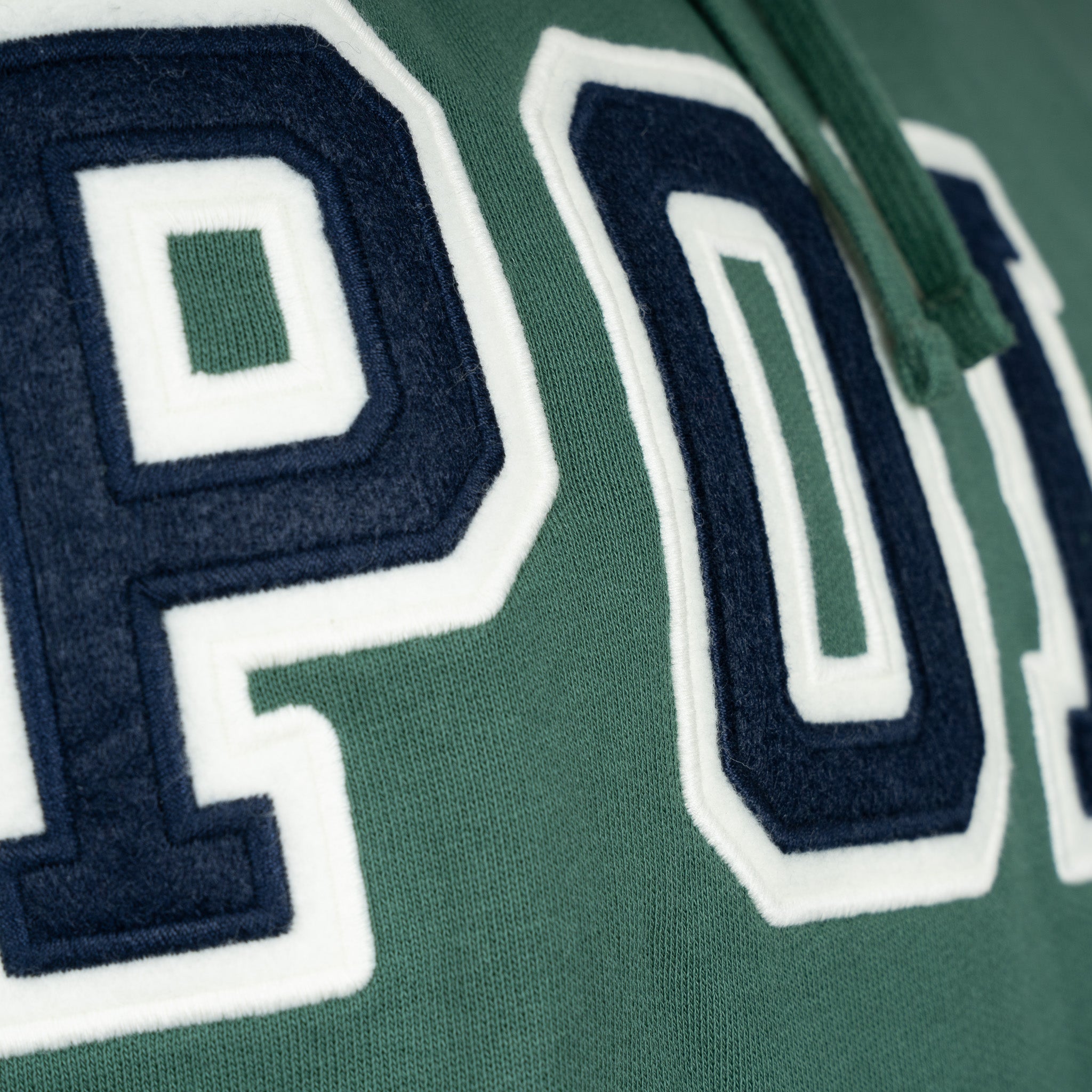 Ralph Lauren Hoodie Groen | Big Logo