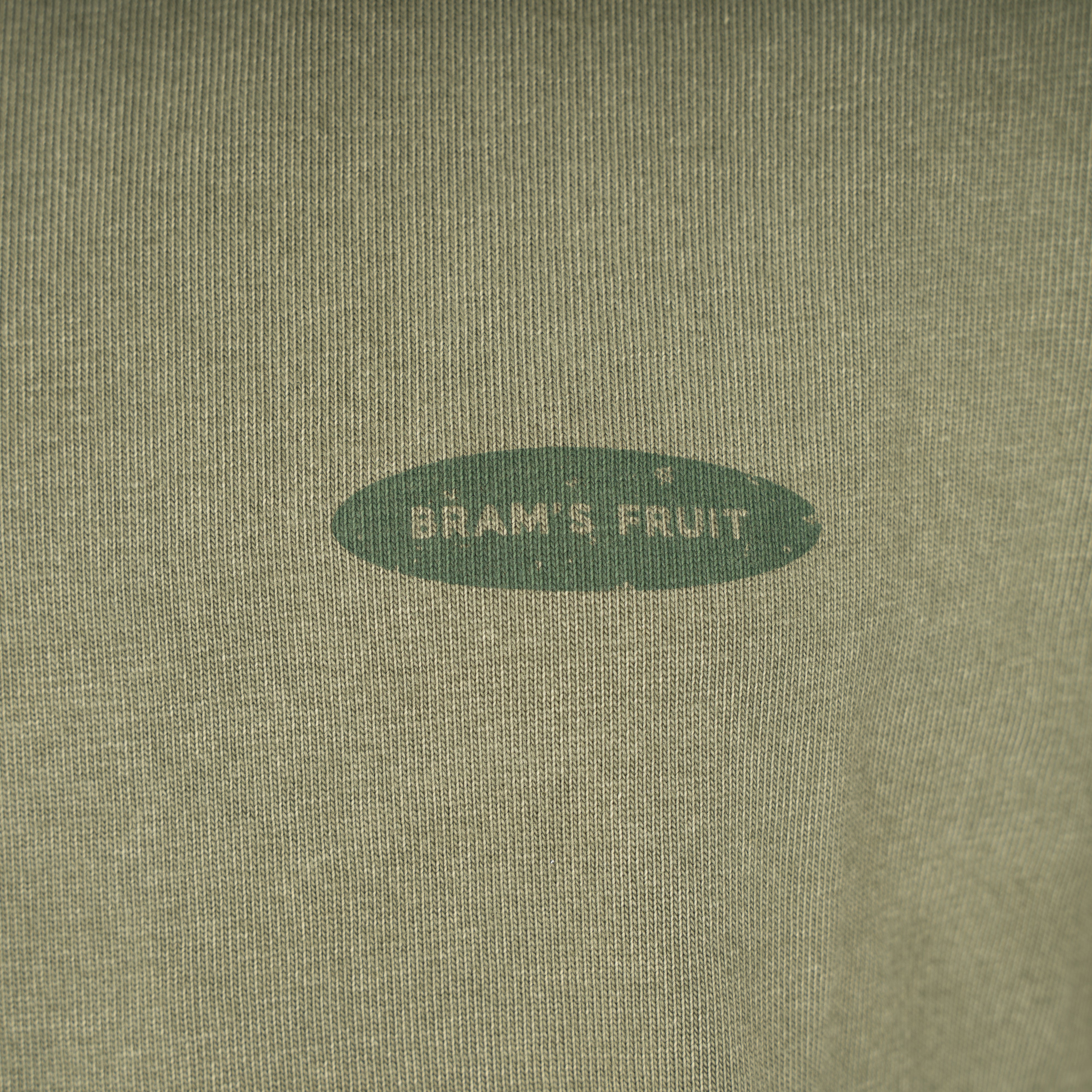 Bram's Fruit T-Shirt Backprint Groen | F*ck Off Distressed