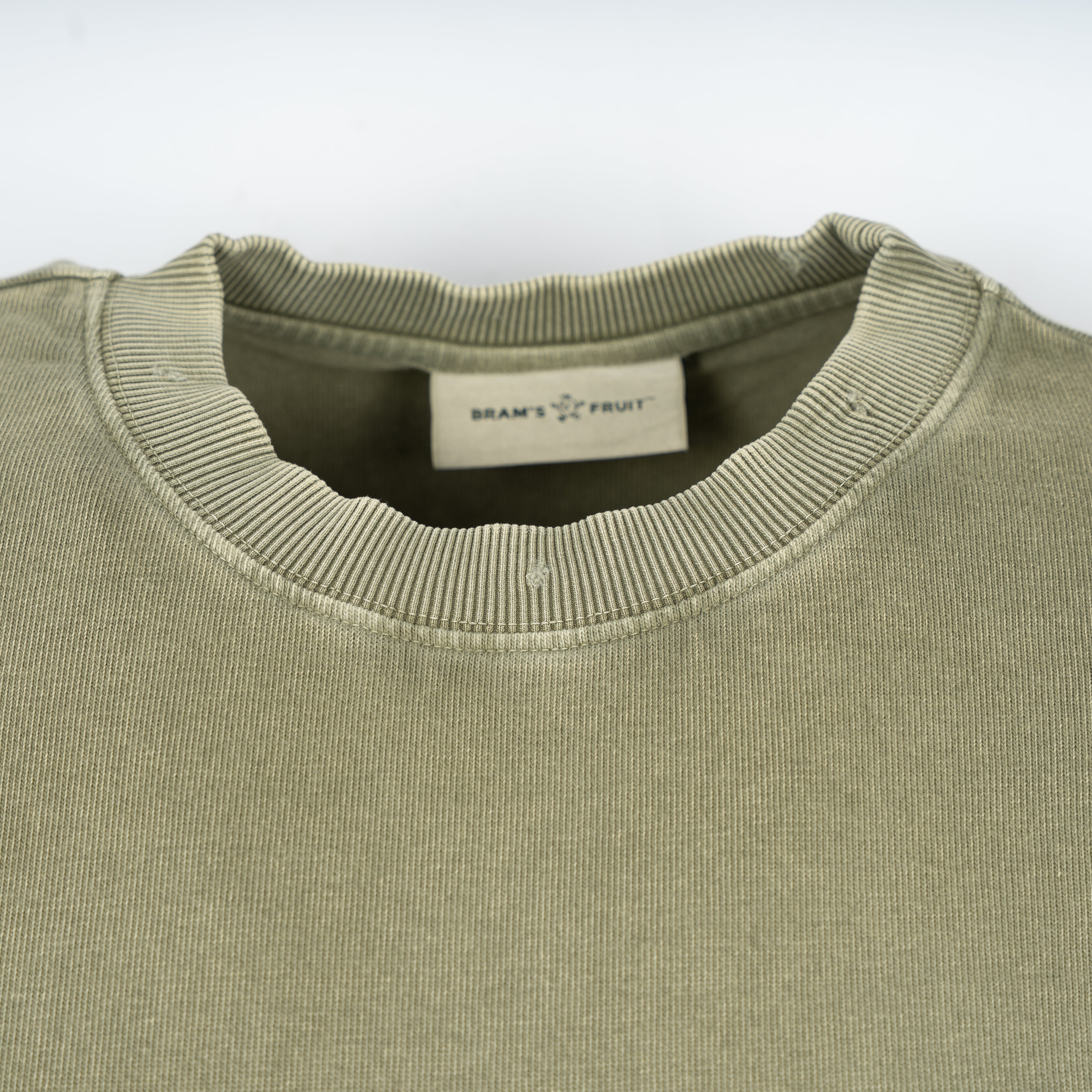 Bram's Fruit T-Shirt Backprint Groen | F*ck Off Distressed