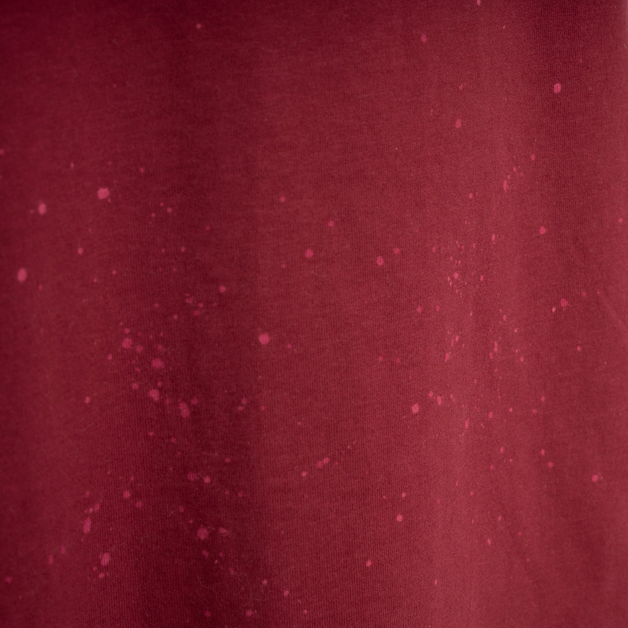 Pal Sporting Goods T-Shirt Backprint Rood | Dasha