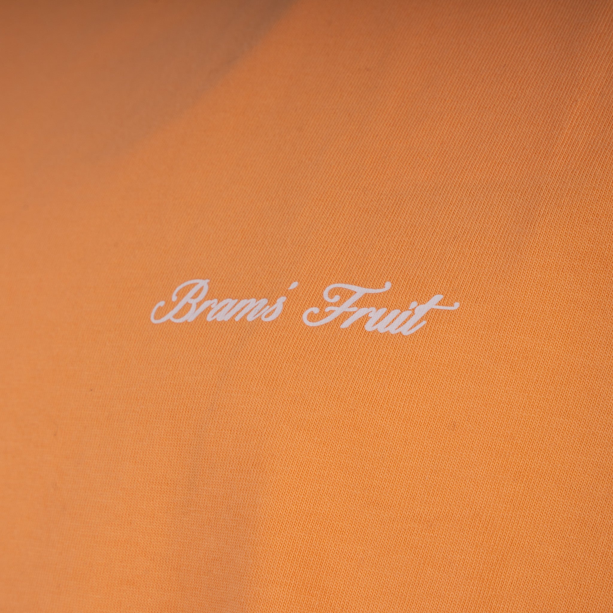 Bram's Fruit T-Shirt Backprint Oranje | Gardening Glove