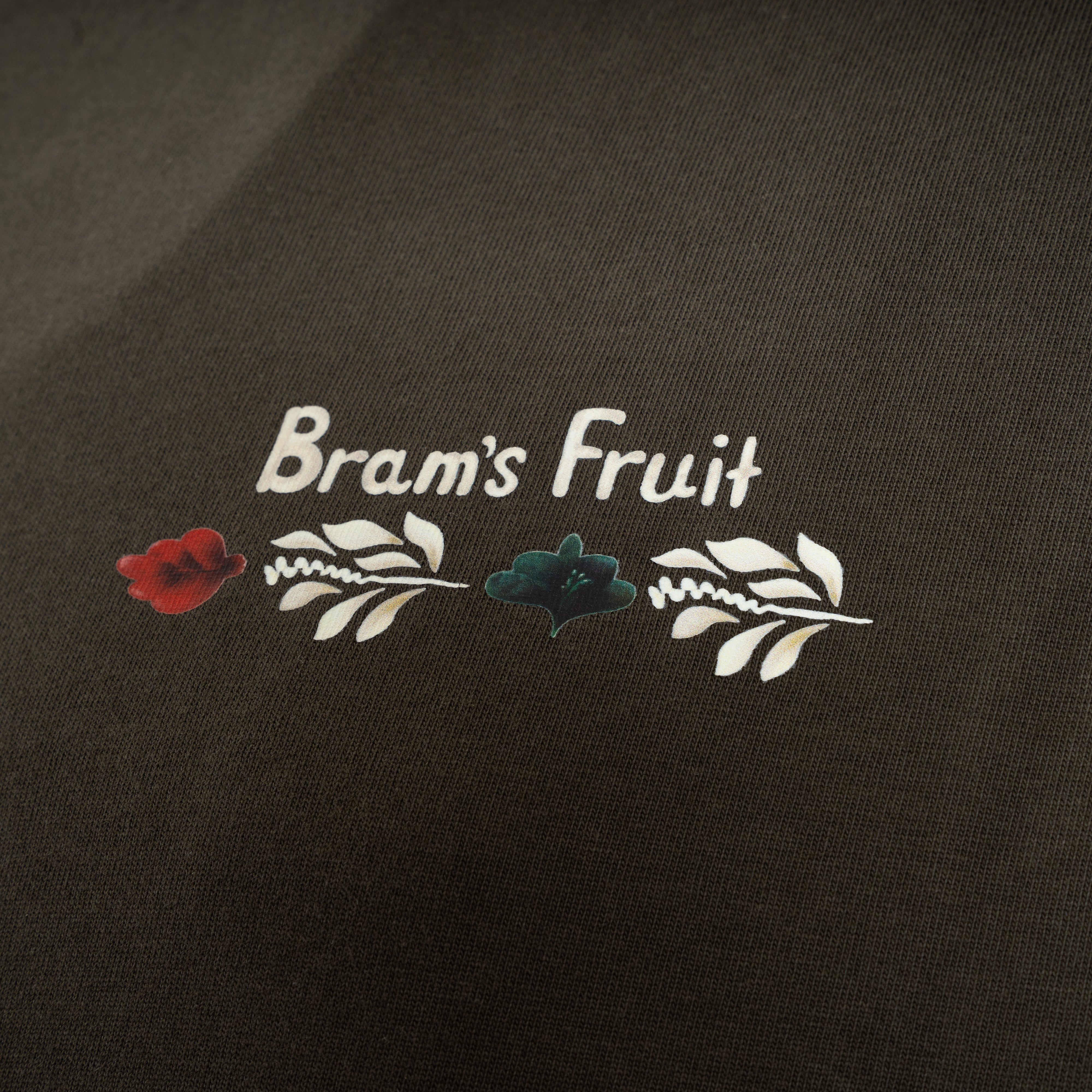 Bram's Fruit Longsleeve Shirt Antraciet | Flora Longsleeve