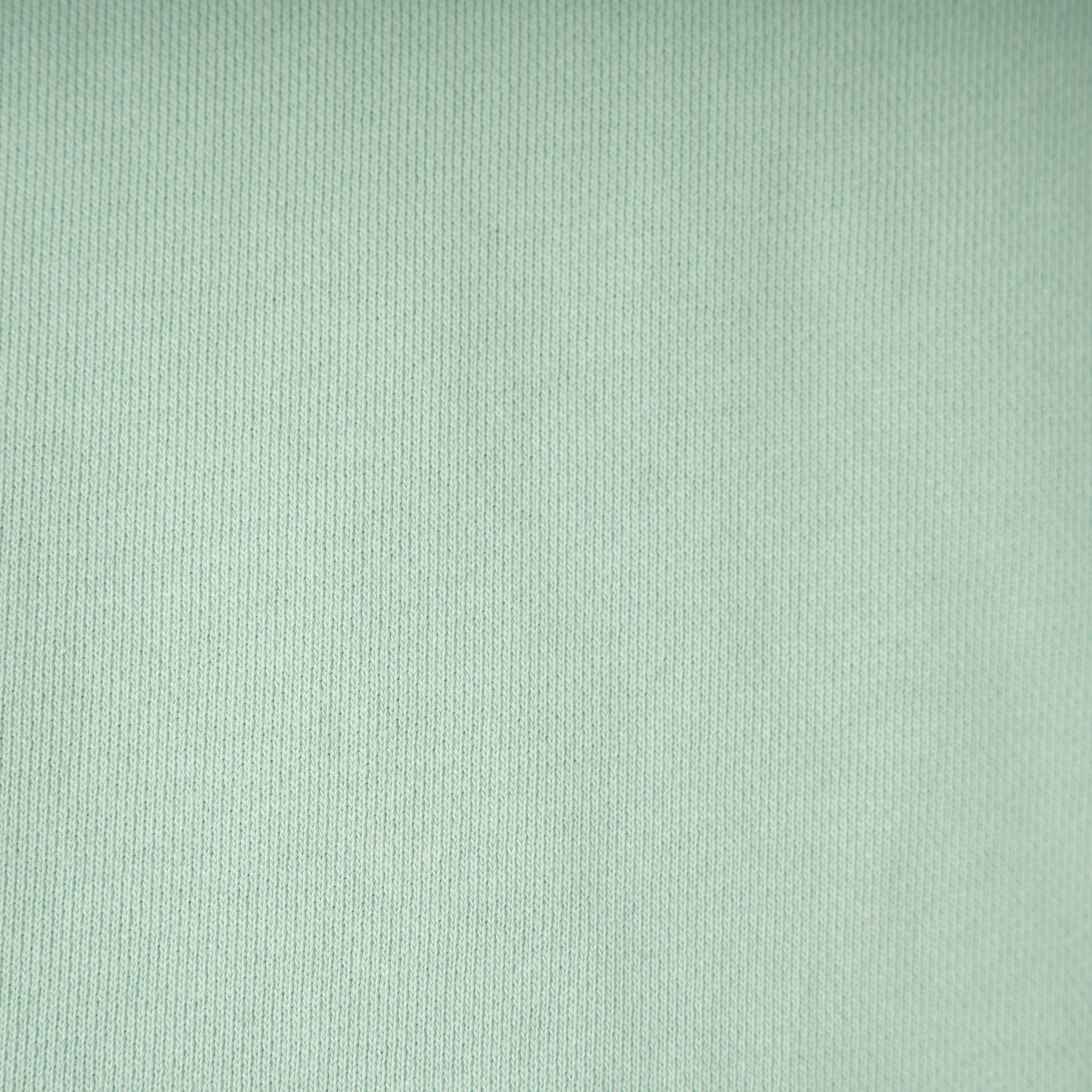 Ralph Lauren Hoodie Lichtgroen | Loopback Fleece