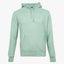 Ralph Lauren Hoodie Lichtgroen | Loopback Fleece