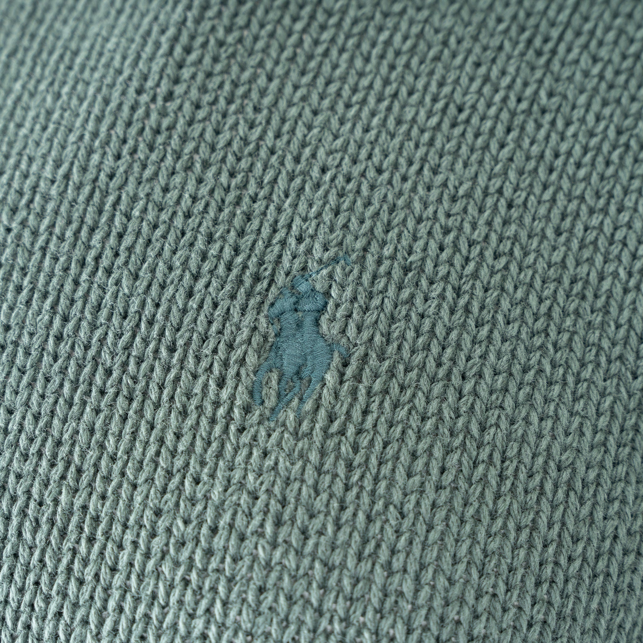 Ralph Lauren Gebreide Trui Groen | Garment-Dyed
