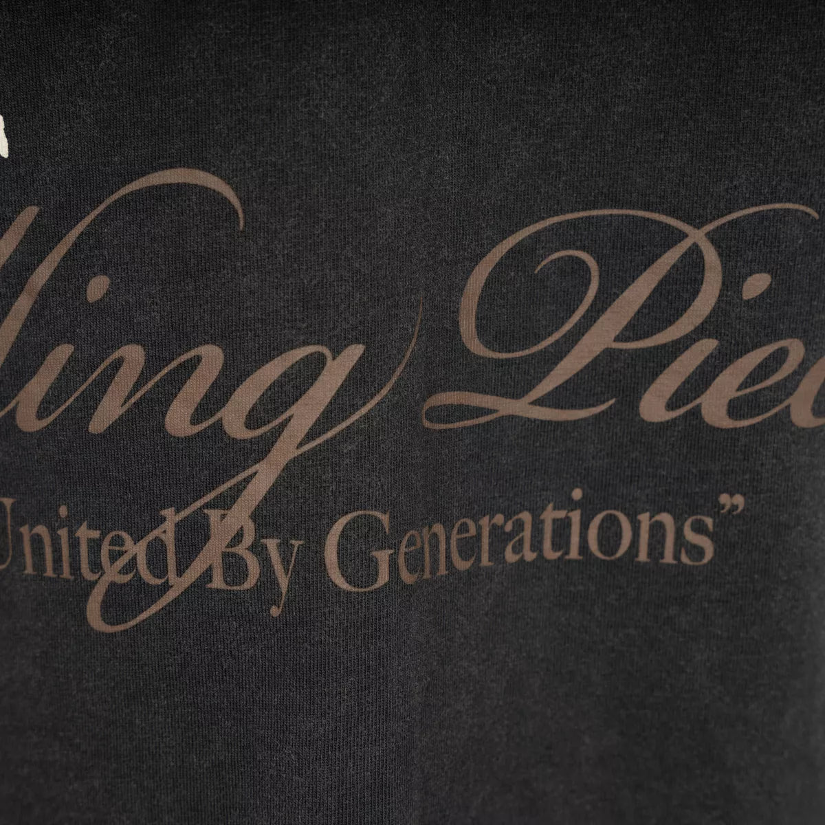 Filling Pieces T-Shirt Vintage Zwart | United by Generations