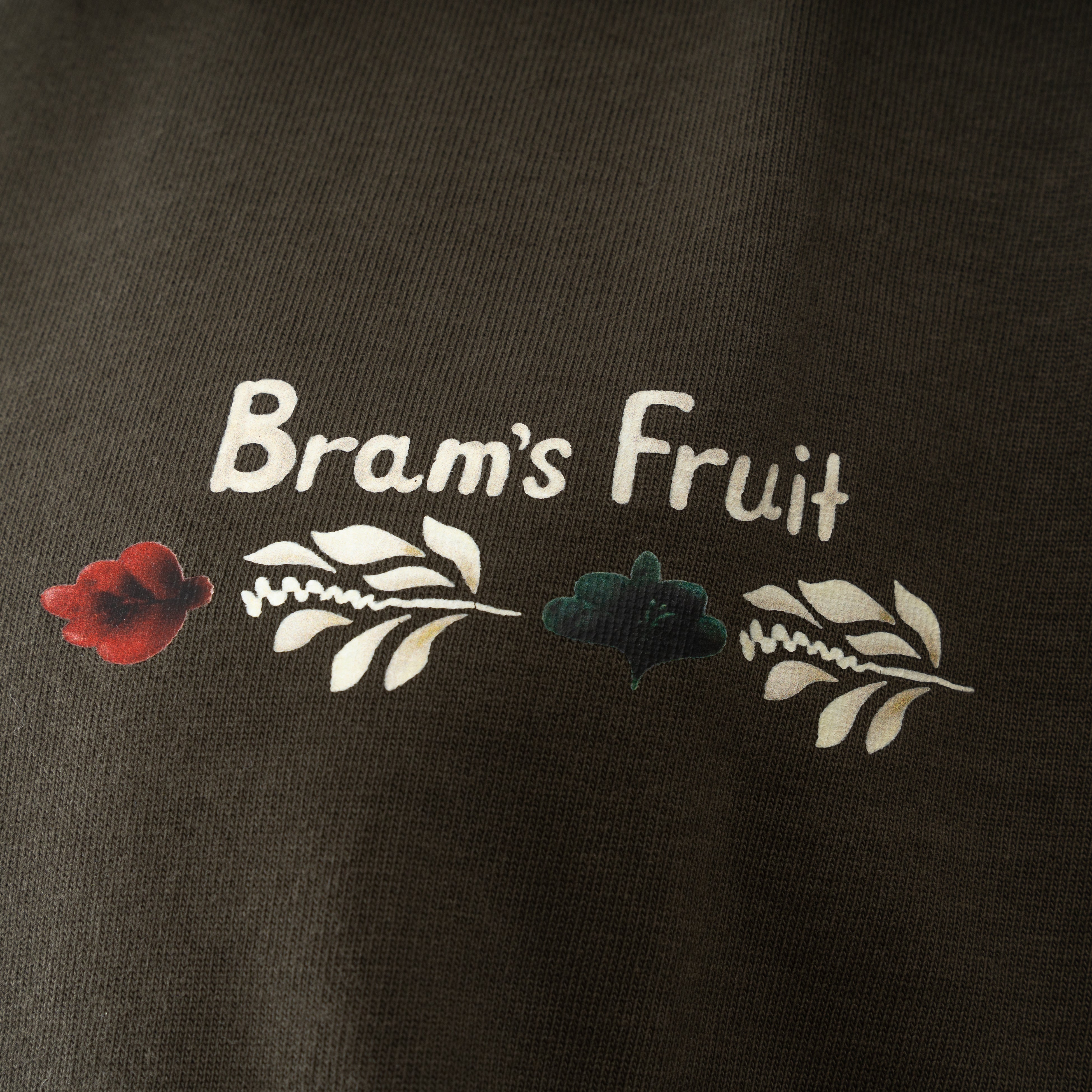 Bram's Fruit T-Shirt met Backprint Houtskoolzwart | Flora T-Shirt