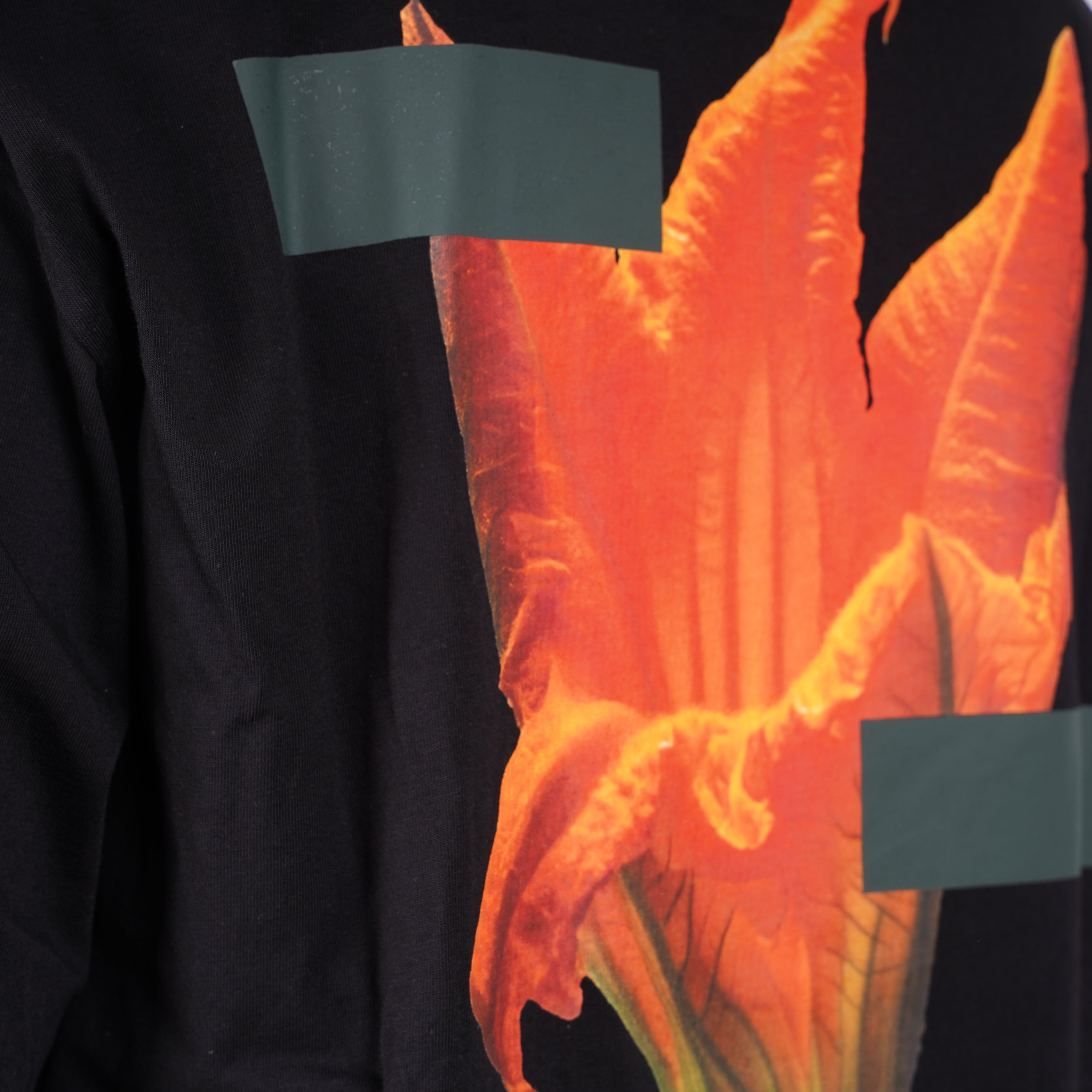 Filling Pieces T-Shirt Backprint Zwart | Zucchini