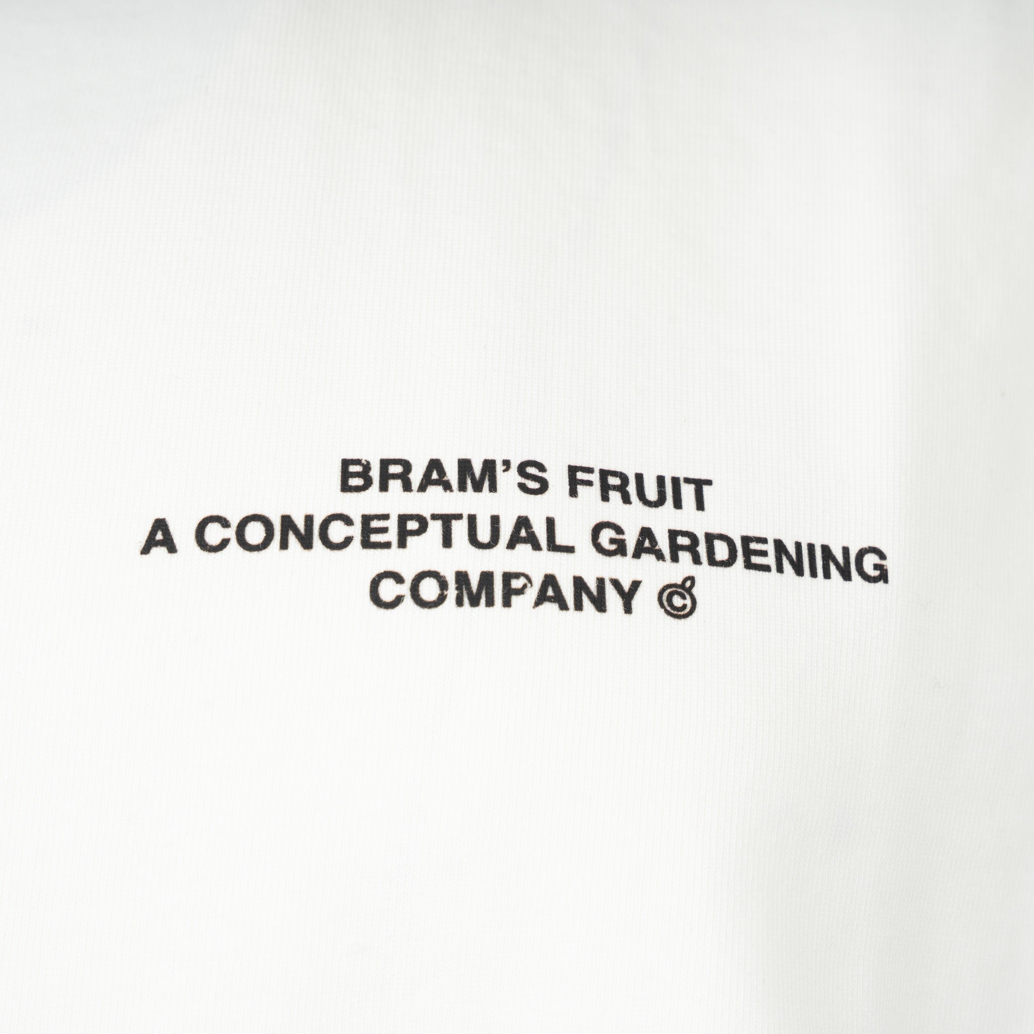 Bram's Fruit T-Shirt Backprint Wit | Stamp