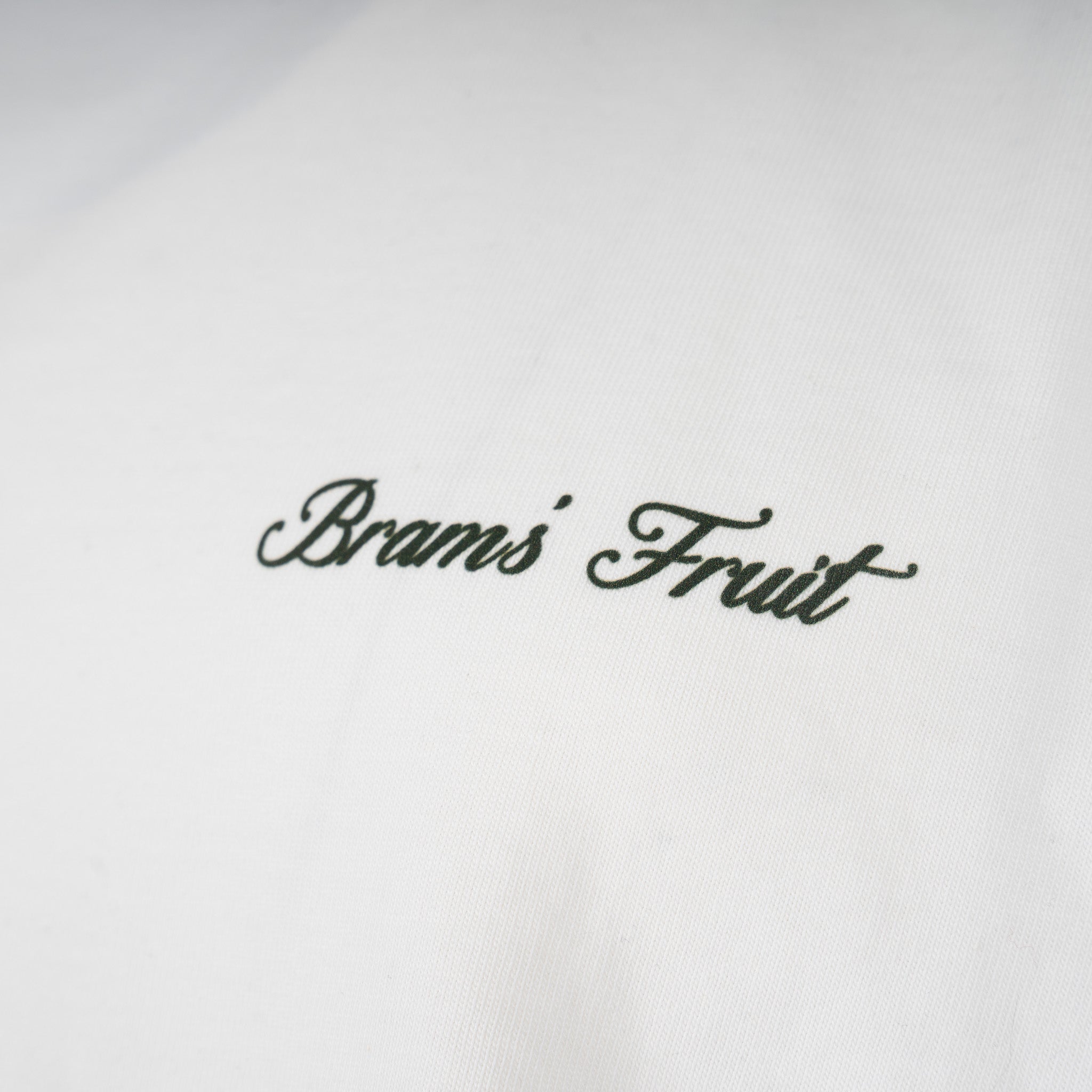 Bram's Fruit T-Shirt Backprint Wit | Gardening Glove