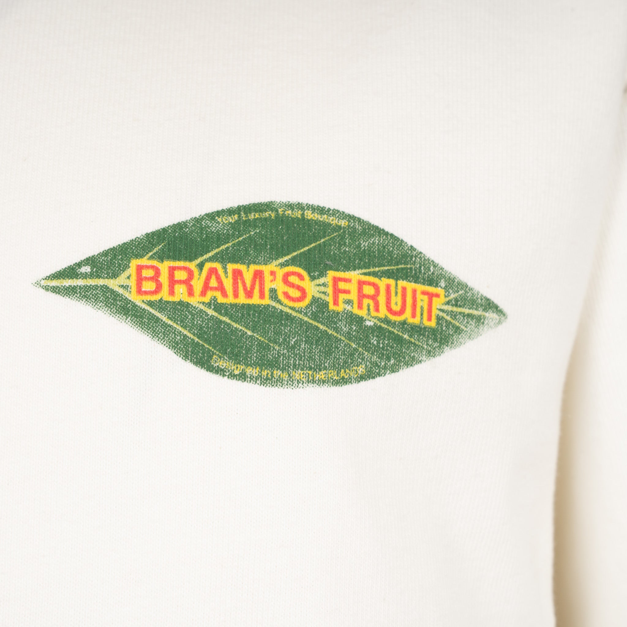 Bram's Fruit T-Shirt Backprint Off-White | Distressed Leaf
