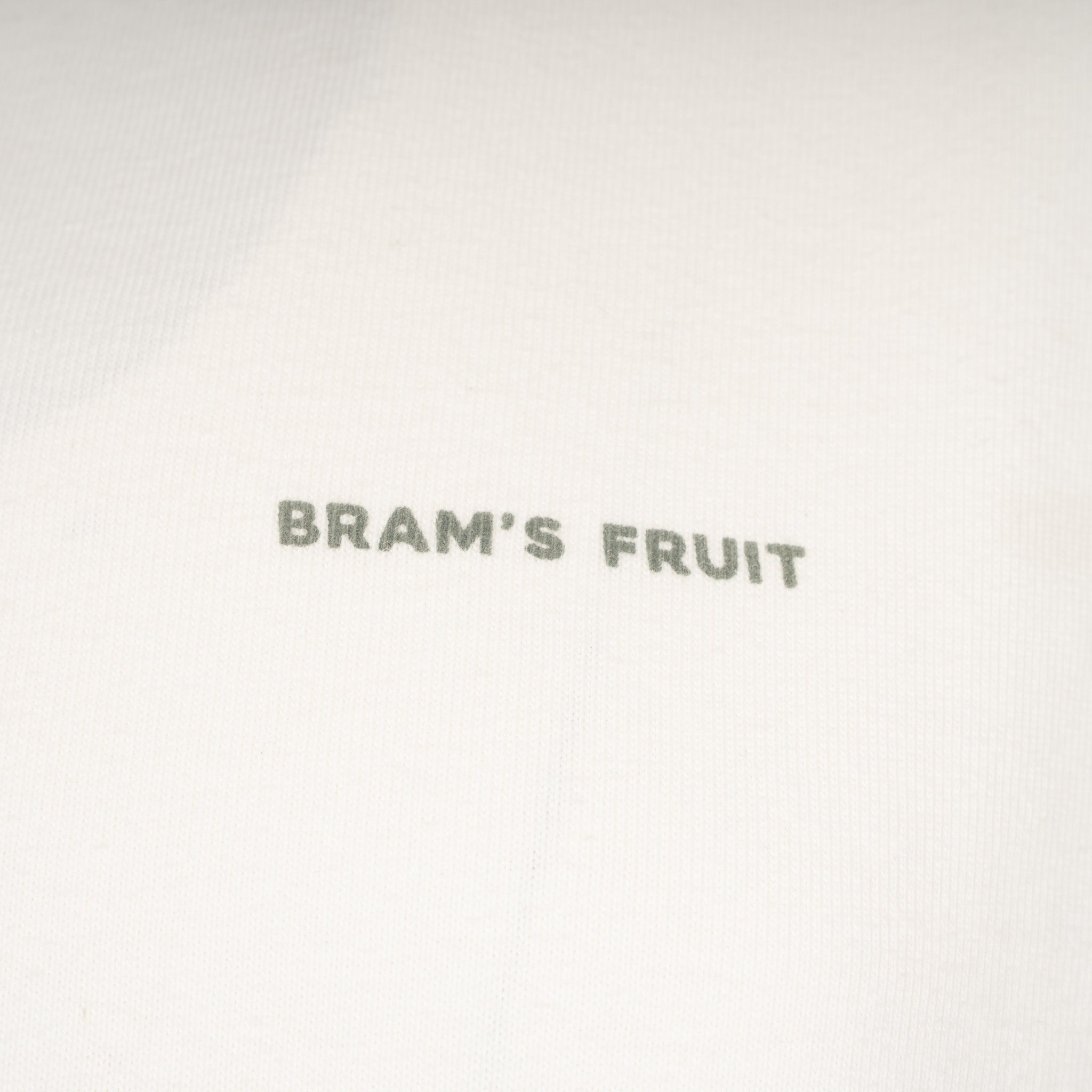 Bram's Fruit T-Shirt Backprint Off-White | Big Lemon