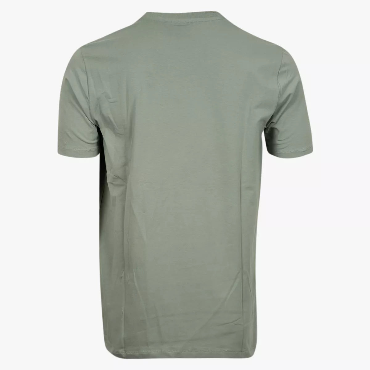 Genti T-Shirt Lichtgroen | Ice Cotton