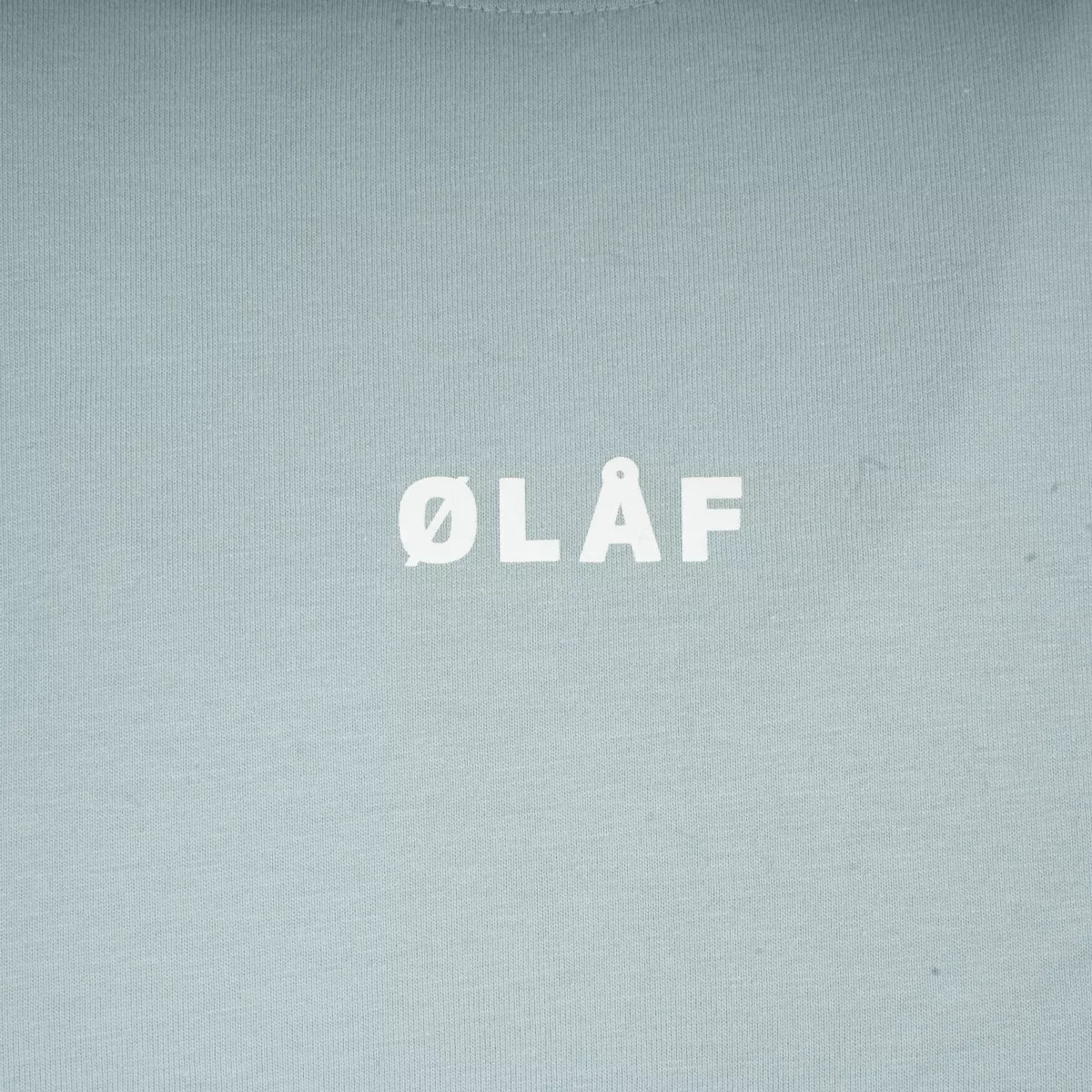 Olaf Shirt Baby Blauw | Block Tee